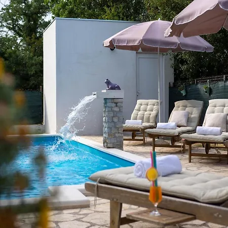 Villa Spacious Retreat With Private Pool, Fitness Centre, And Garden - Three Bedroom Prgomet